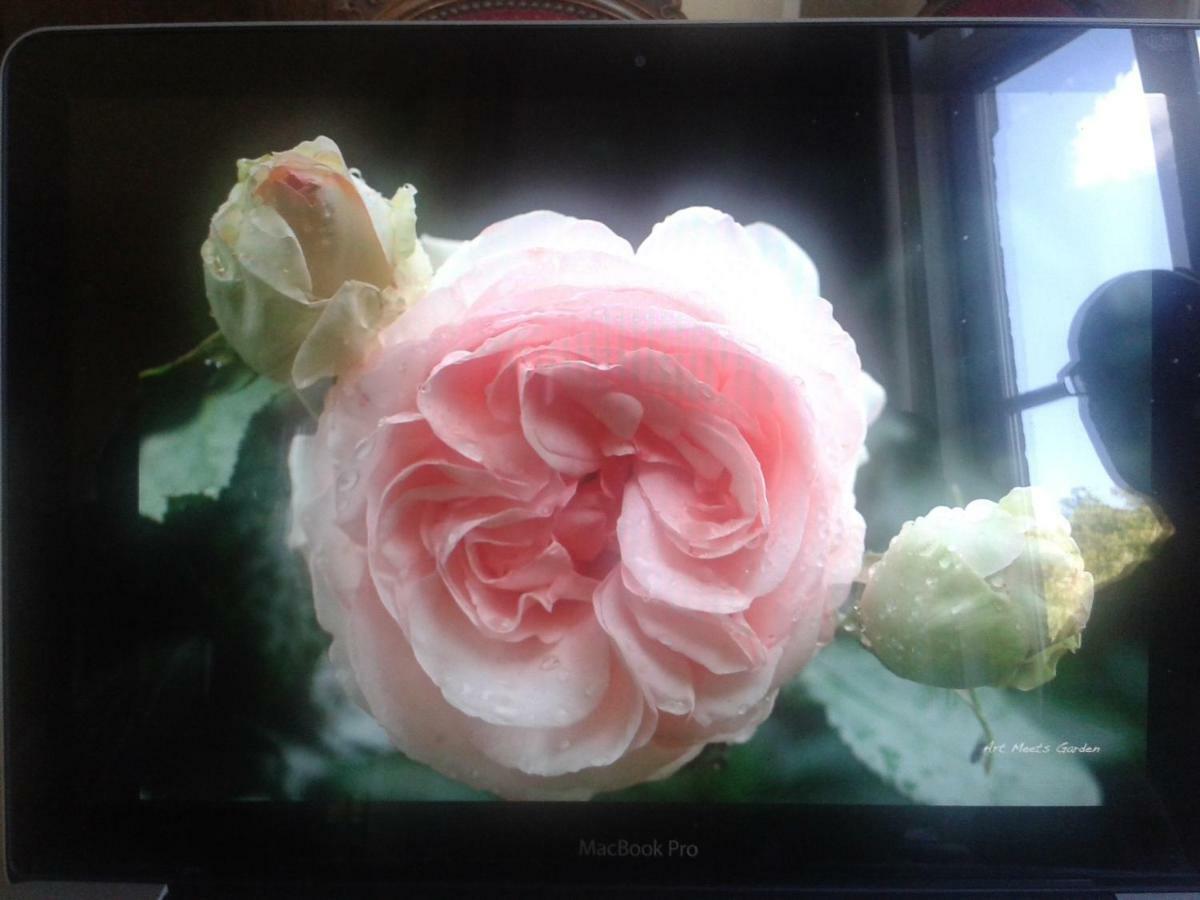 La Villa Des Roses Durbuy Bagian luar foto
