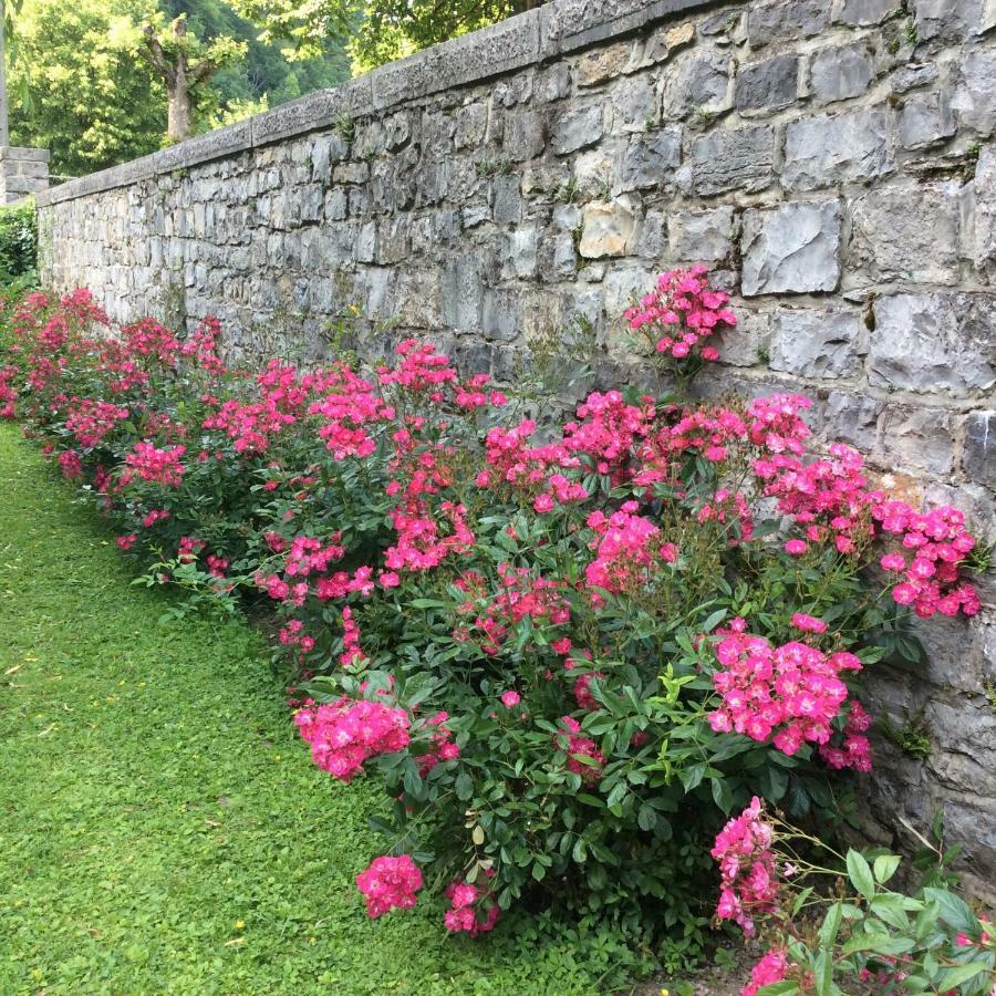 La Villa Des Roses Durbuy Bagian luar foto