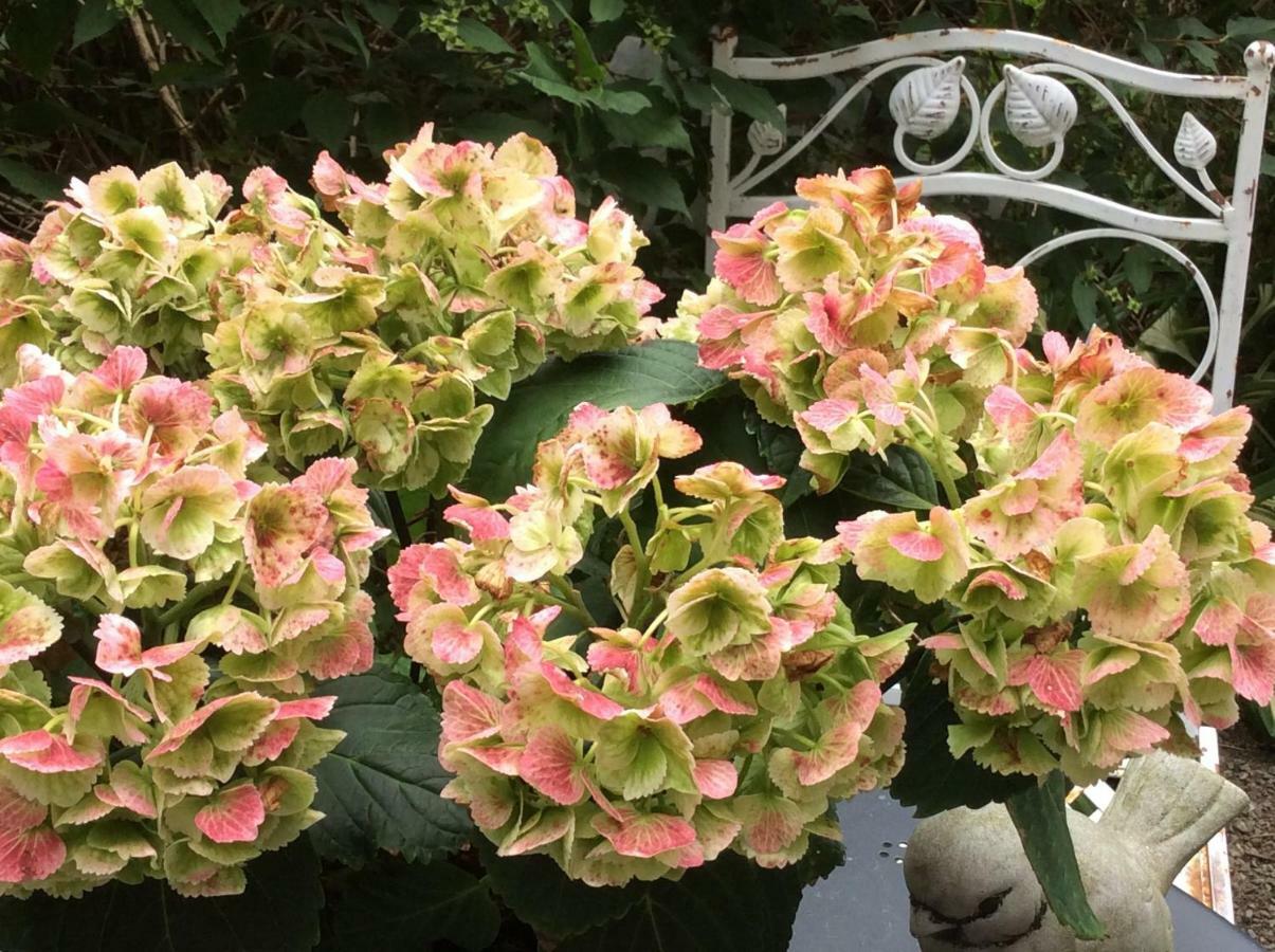 La Villa Des Roses Durbuy Bagian luar foto