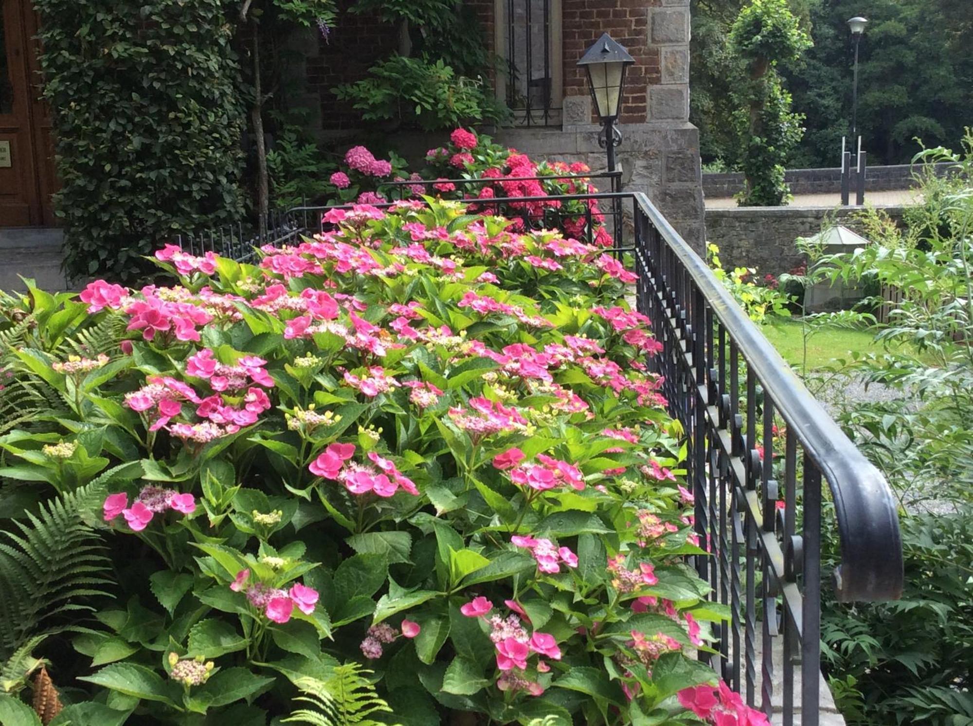 La Villa Des Roses Durbuy Bagian luar foto
